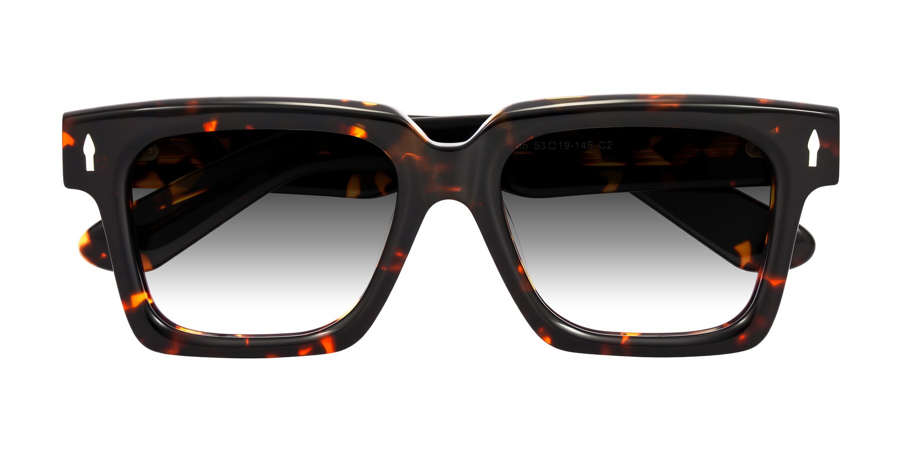 Folded Front of Phamn in Tortoise with Gray Gradient Lenses
