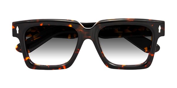 Front of Phamn in Tortoise