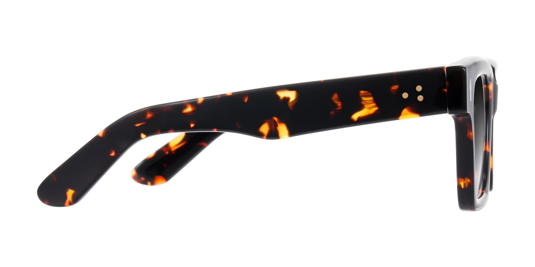 Side of Phamn in Tortoise with Gray Gradient Lenses