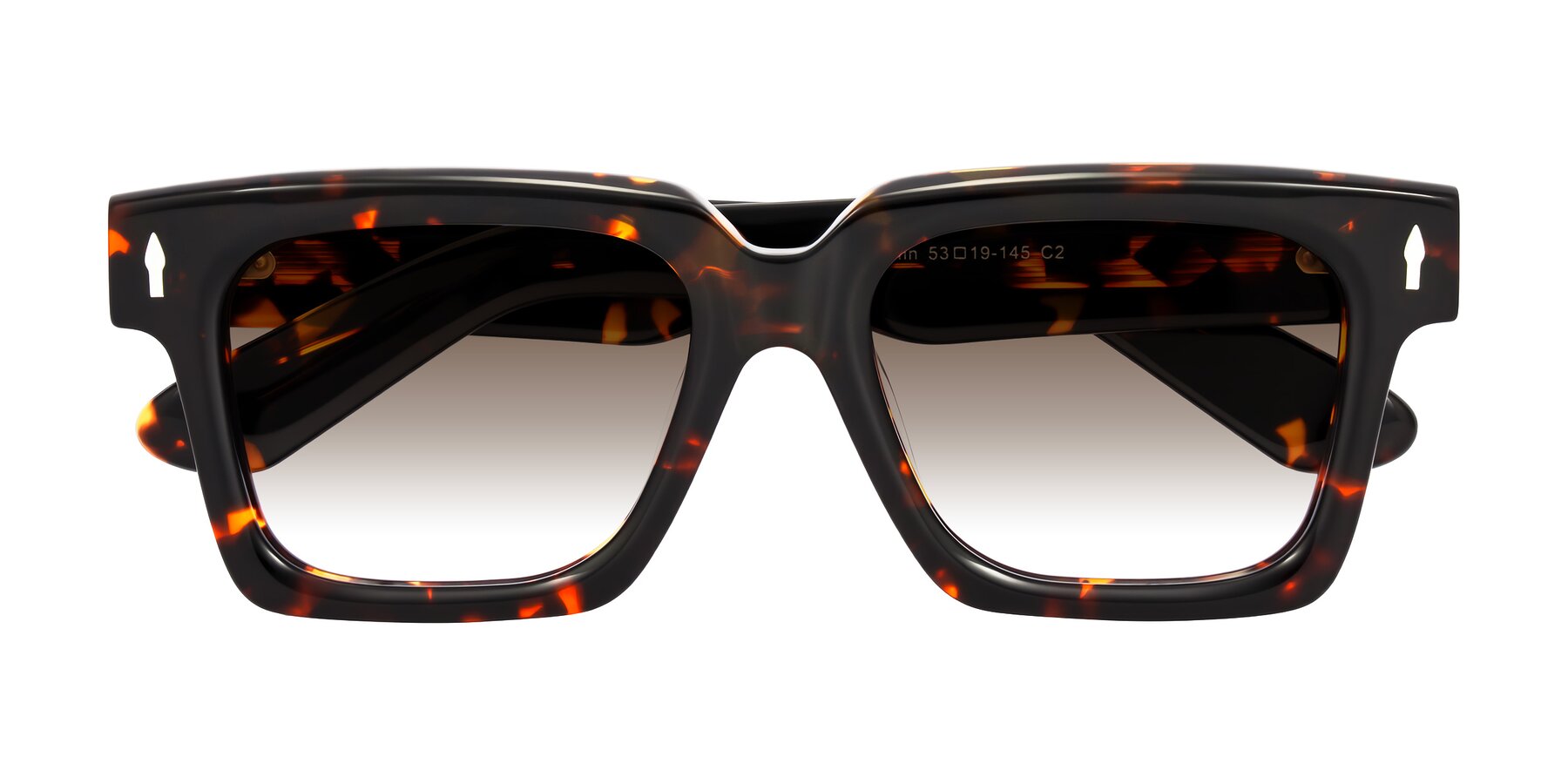 Folded Front of Phamn in Tortoise with Brown Gradient Lenses