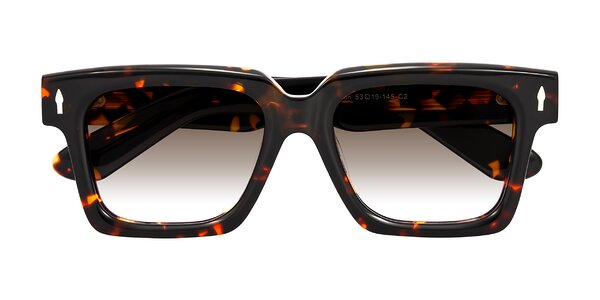 Front of Phamn in Tortoise