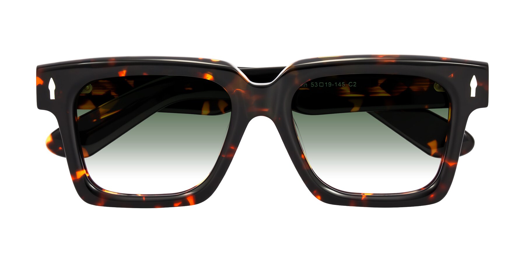 Folded Front of Phamn in Tortoise with Green Gradient Lenses