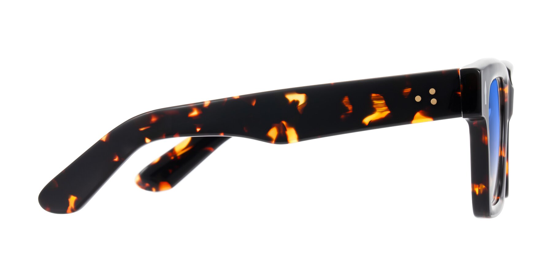 Side of Phamn in Tortoise with Blue Gradient Lenses