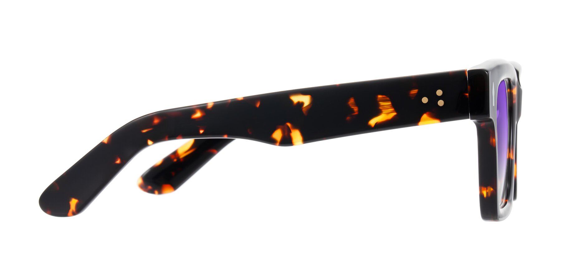 Side of Phamn in Tortoise with Purple Gradient Lenses