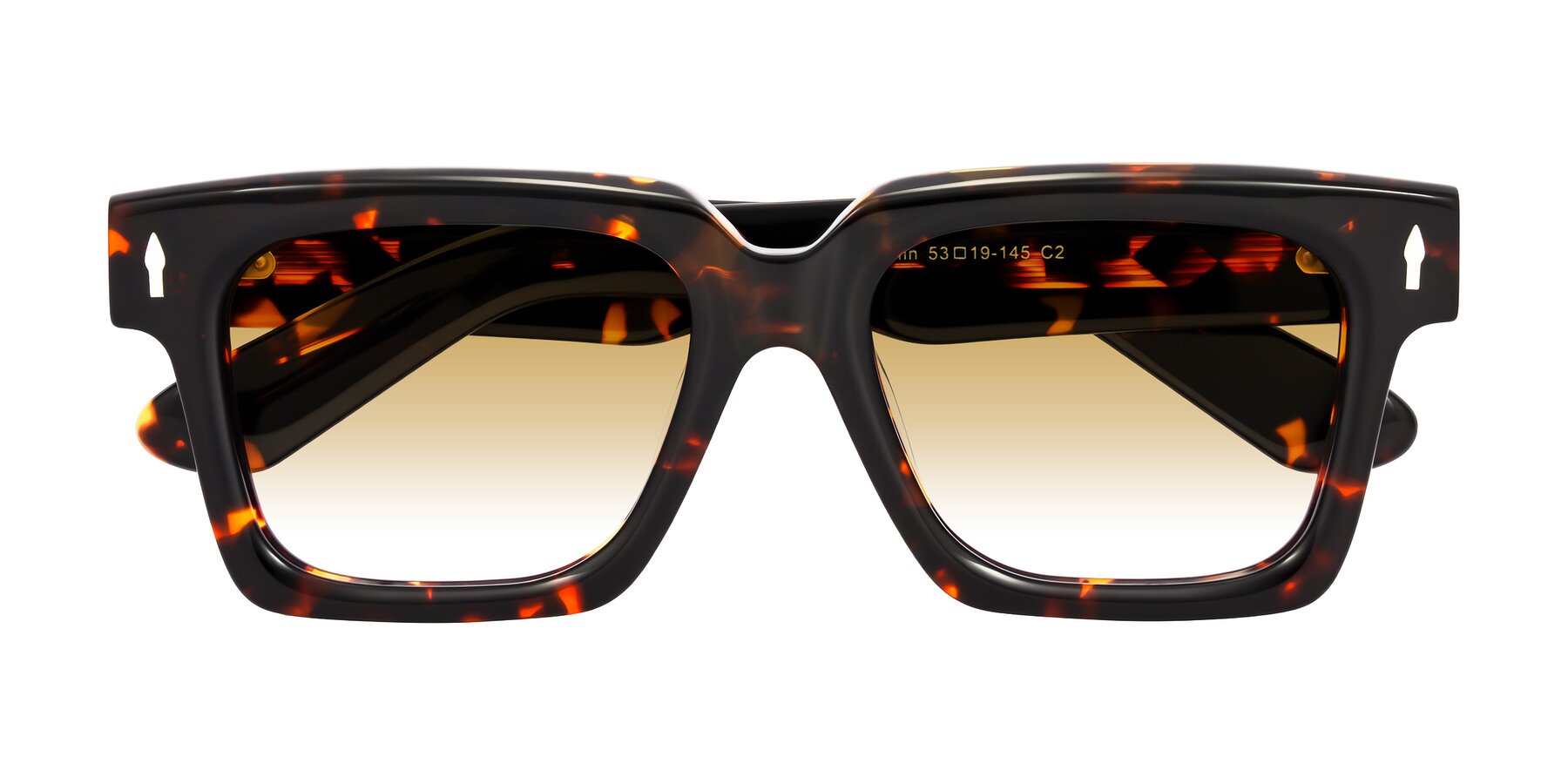 Folded Front of Phamn in Tortoise with Champagne Gradient Lenses