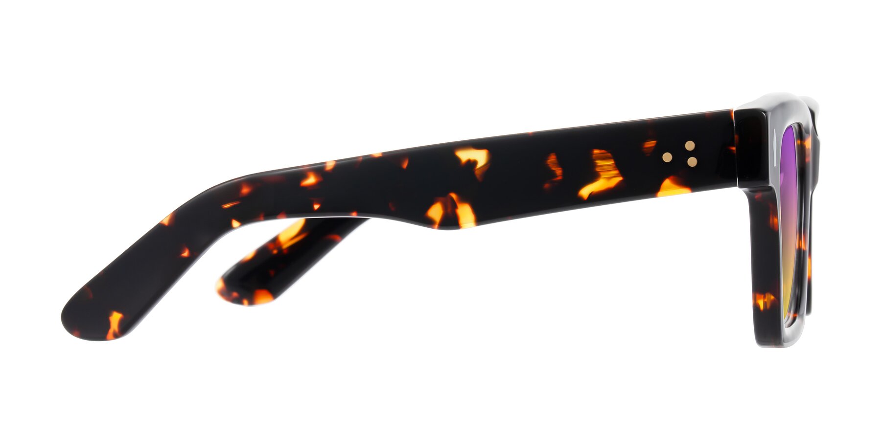 Side of Phamn in Tortoise with Purple / Yellow Gradient Lenses