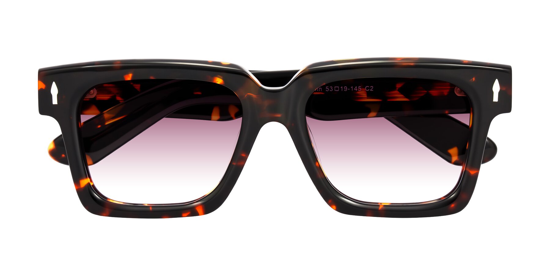Folded Front of Phamn in Tortoise with Wine Gradient Lenses