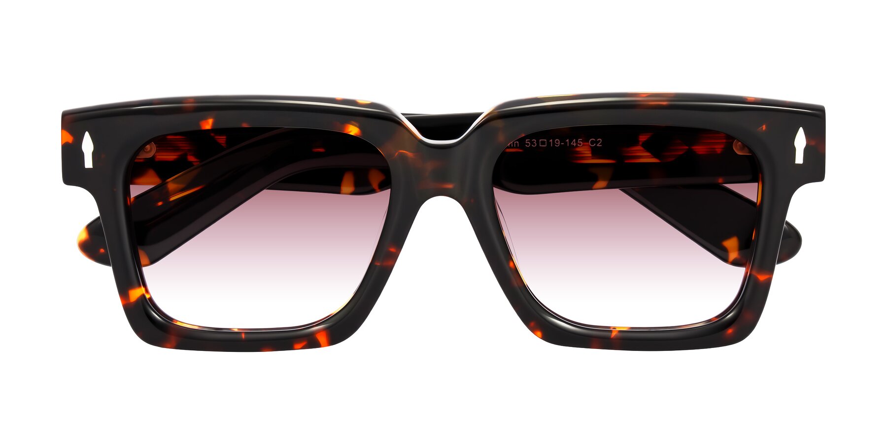 Folded Front of Phamn in Tortoise with Garnet Gradient Lenses