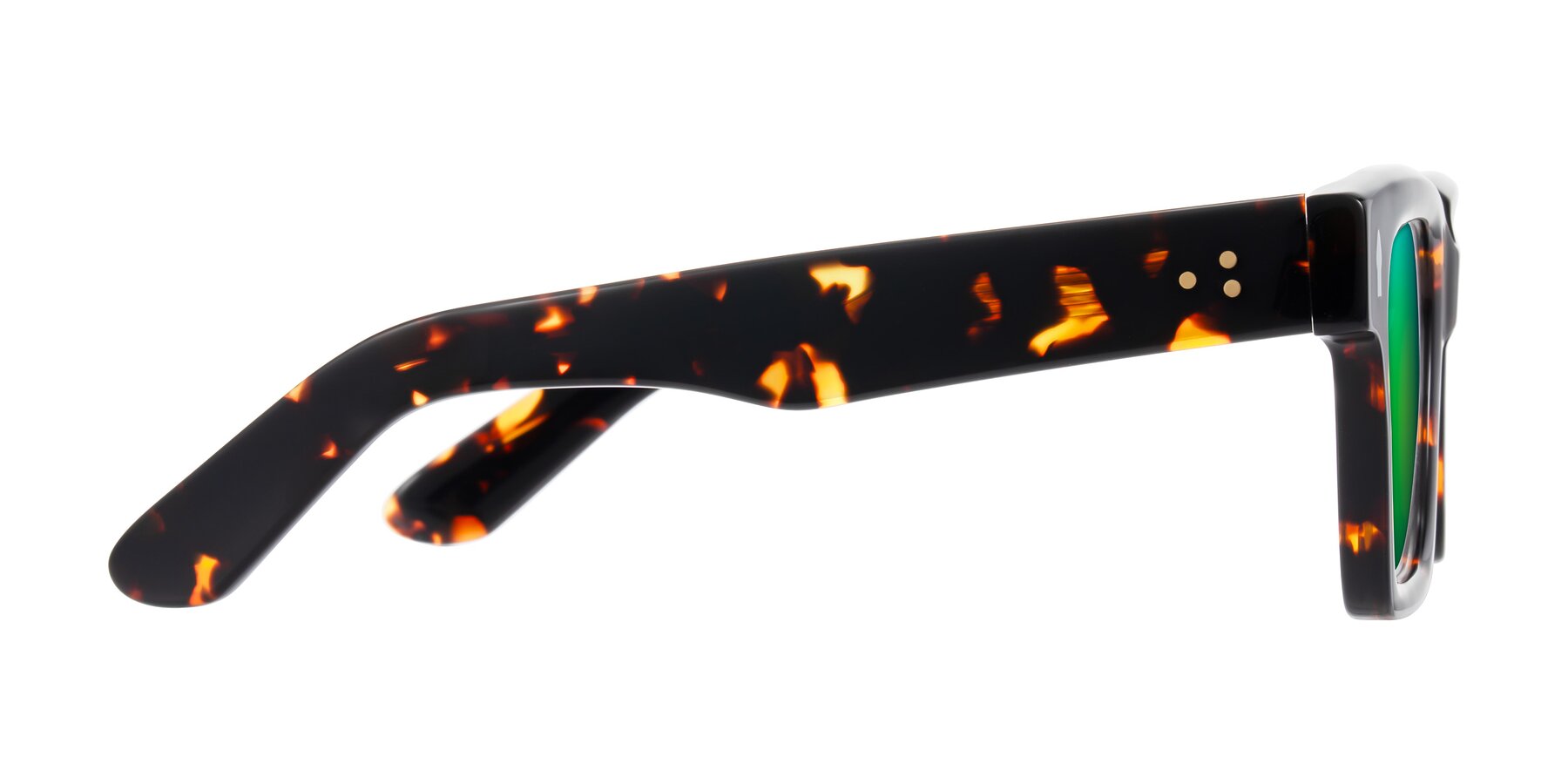 Side of Phamn in Tortoise with Green Mirrored Lenses