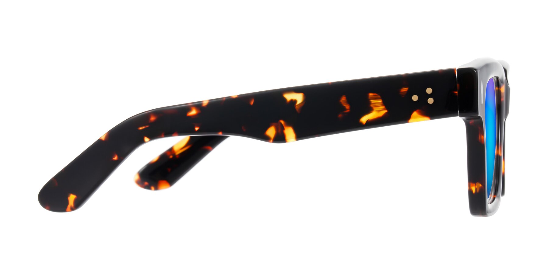 Side of Phamn in Tortoise with Blue Mirrored Lenses