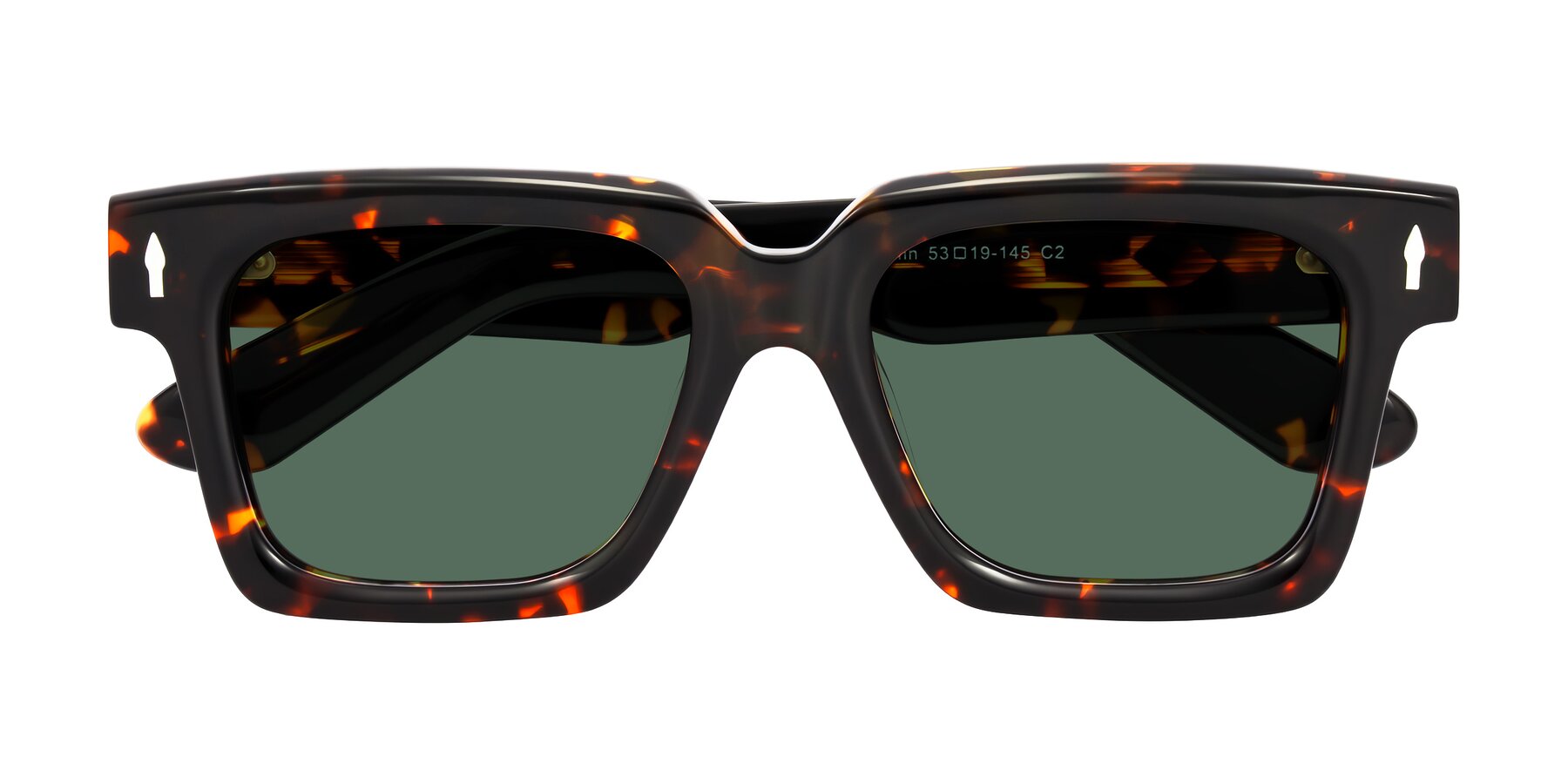 Folded Front of Phamn in Tortoise with Green Polarized Lenses