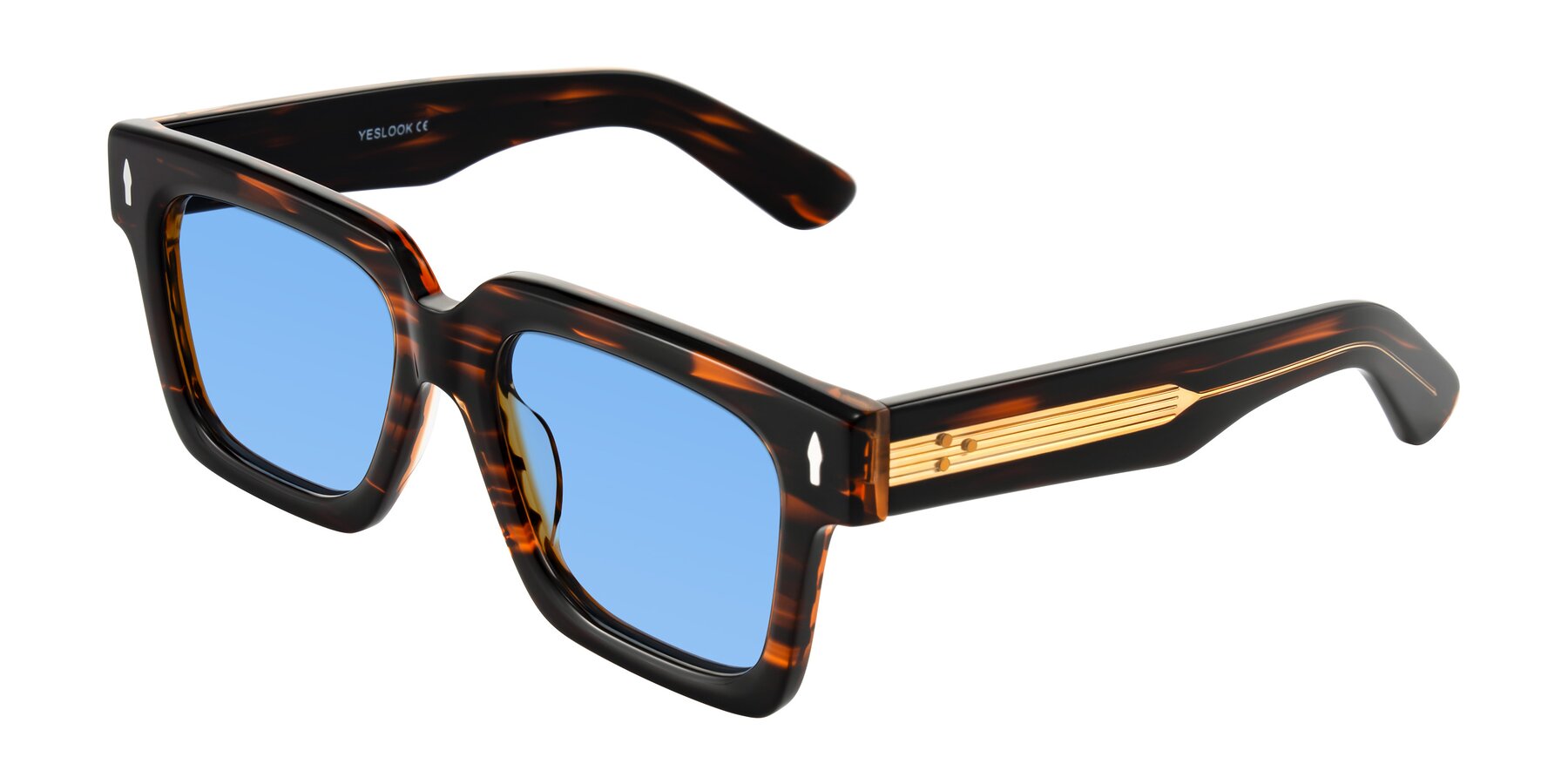 Angle of Phamn in Dark Brown Striped with Medium Blue Tinted Lenses