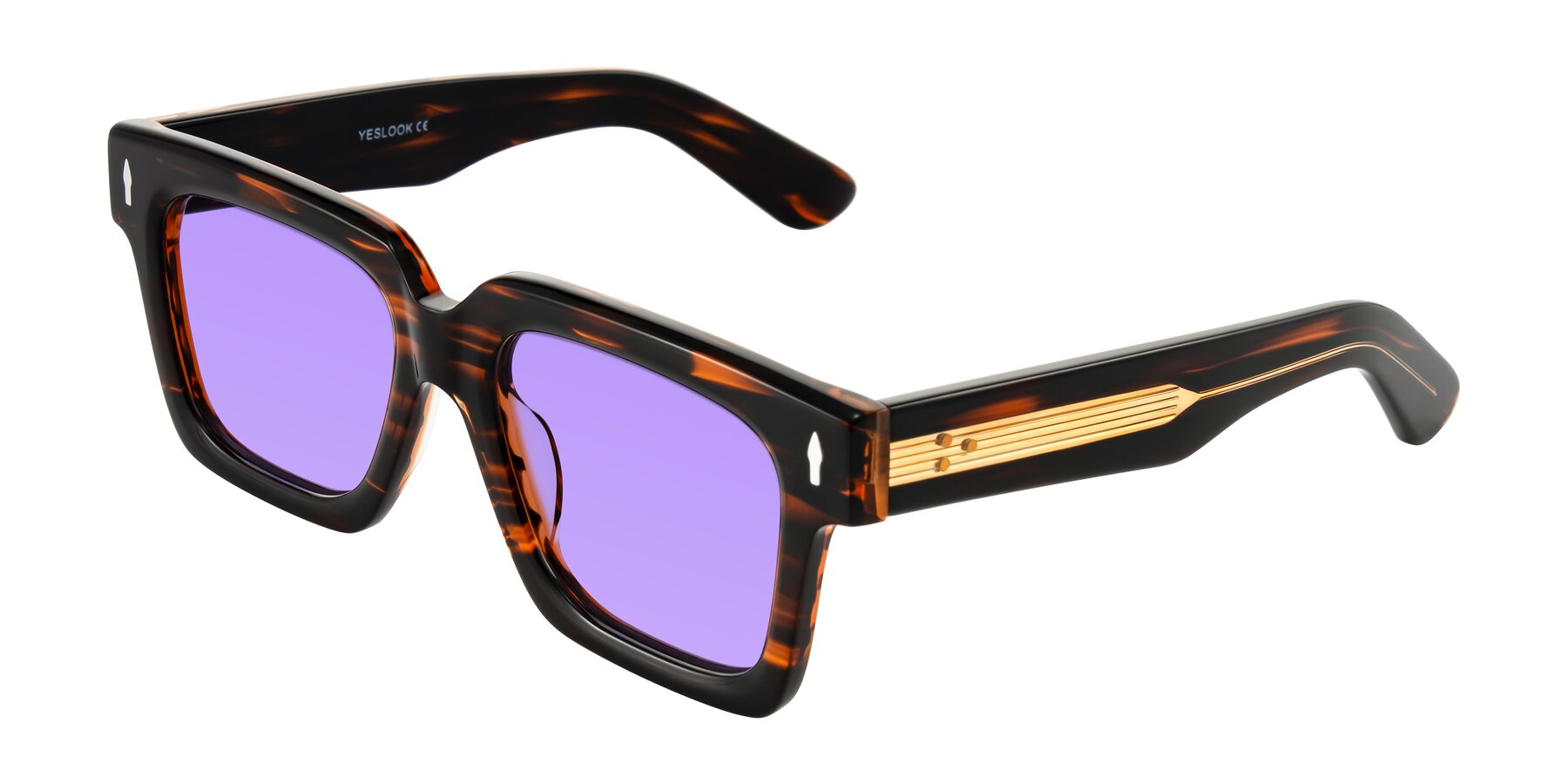 Angle of Phamn in Dark Brown Striped with Medium Purple Tinted Lenses