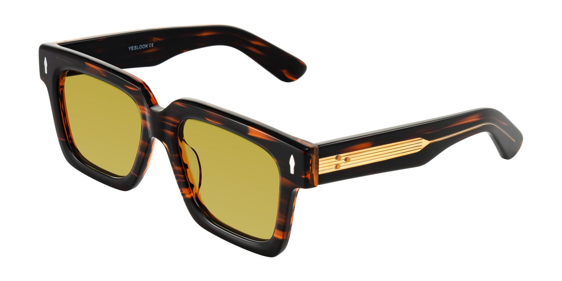 Angle of Phamn in Dark Brown Striped with Champagne Tinted Lenses