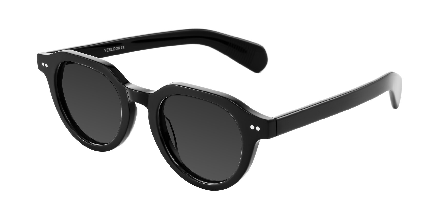 Angle of Rohamn in Black with Gray Tinted Lenses