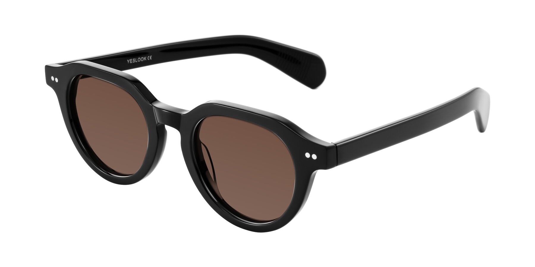 Angle of Rohamn in Black with Brown Tinted Lenses