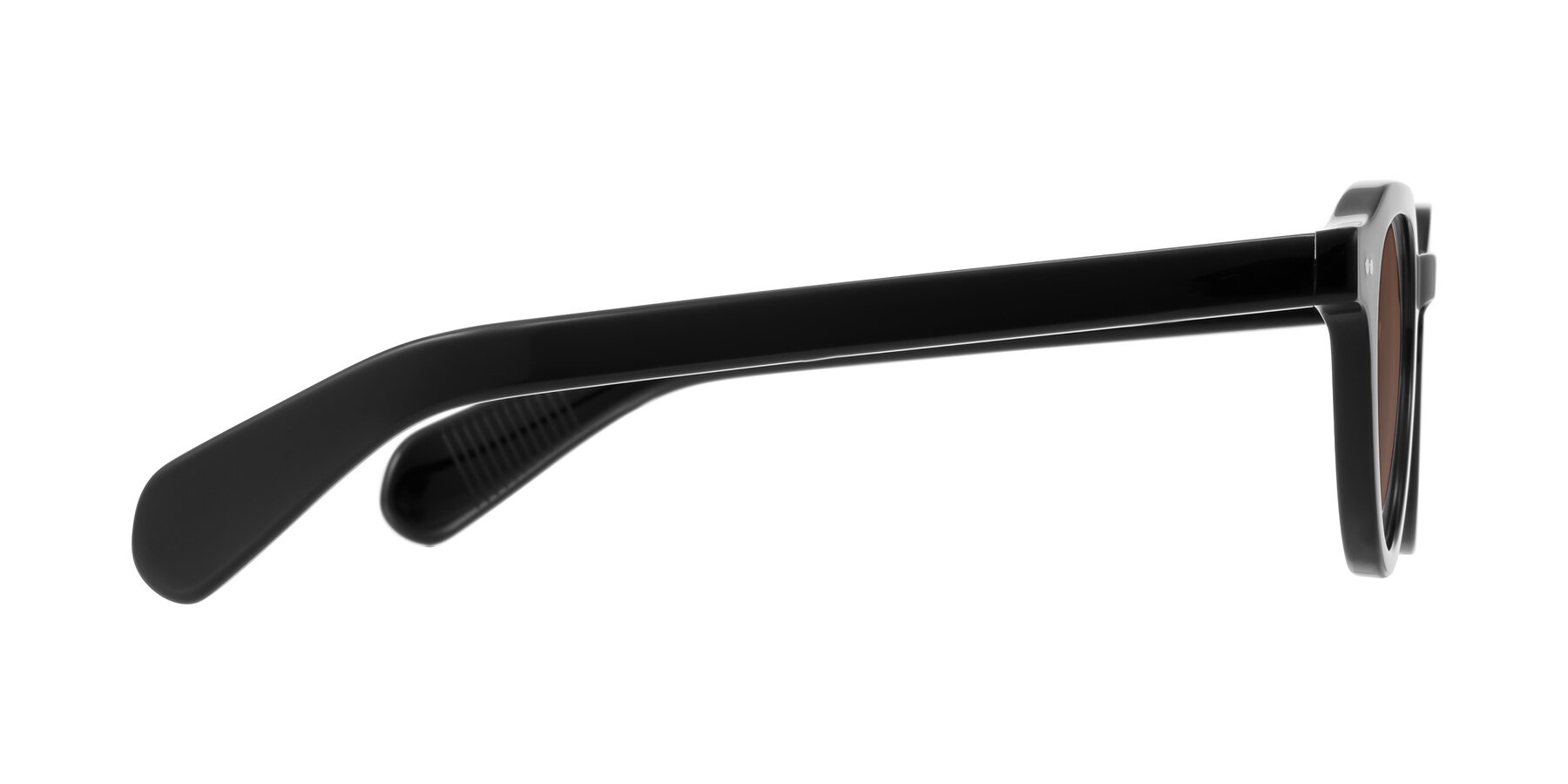 Side of Rohamn in Black with Brown Tinted Lenses