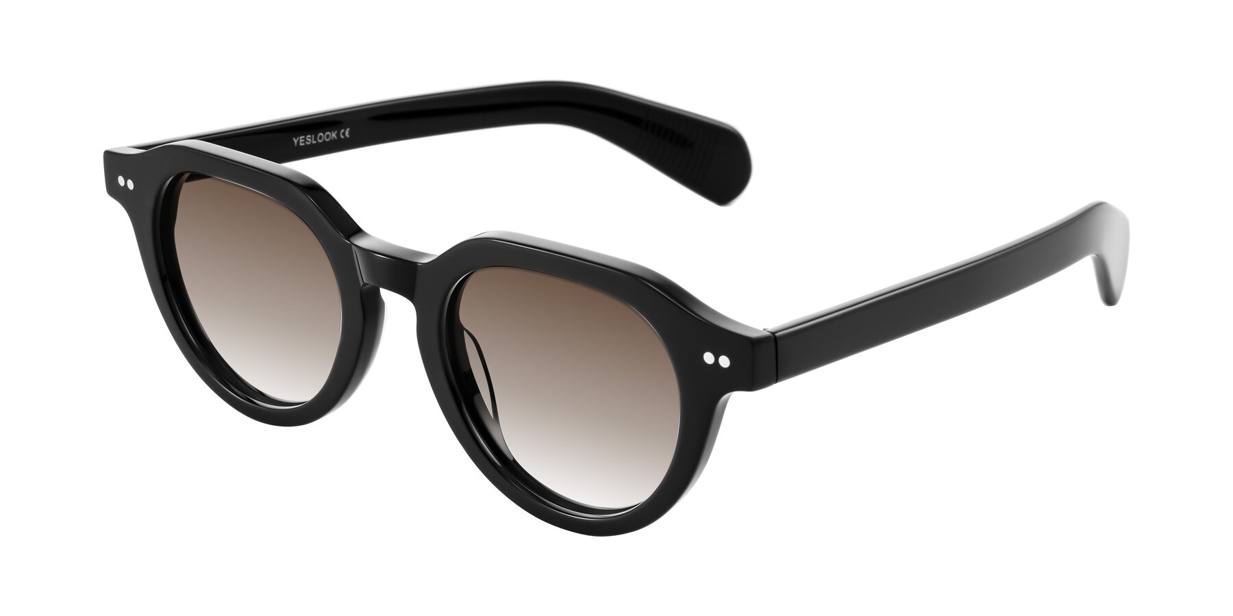 Angle of Rohamn in Black with Brown Gradient Lenses