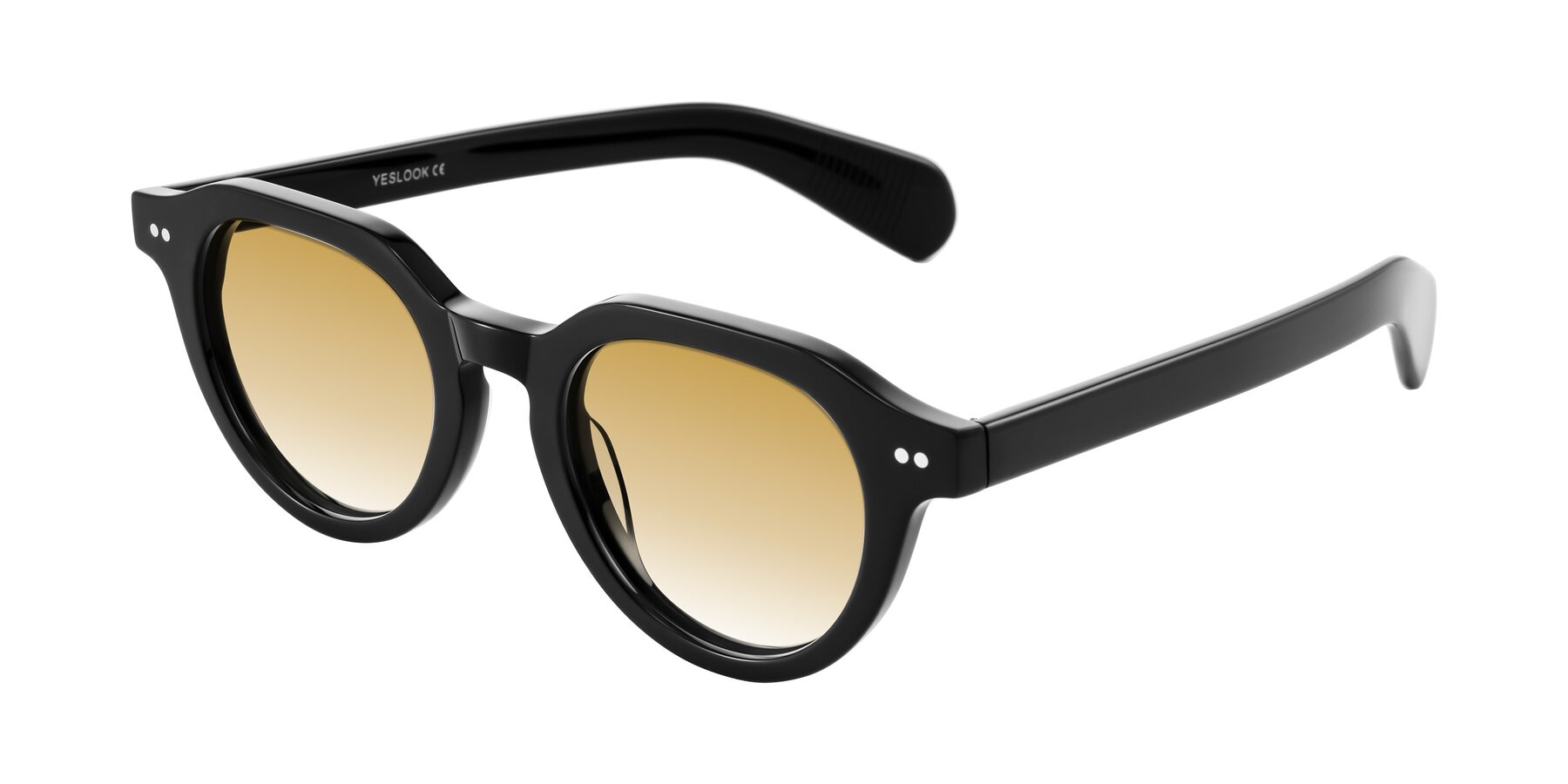 Angle of Rohamn in Black with Champagne Gradient Lenses