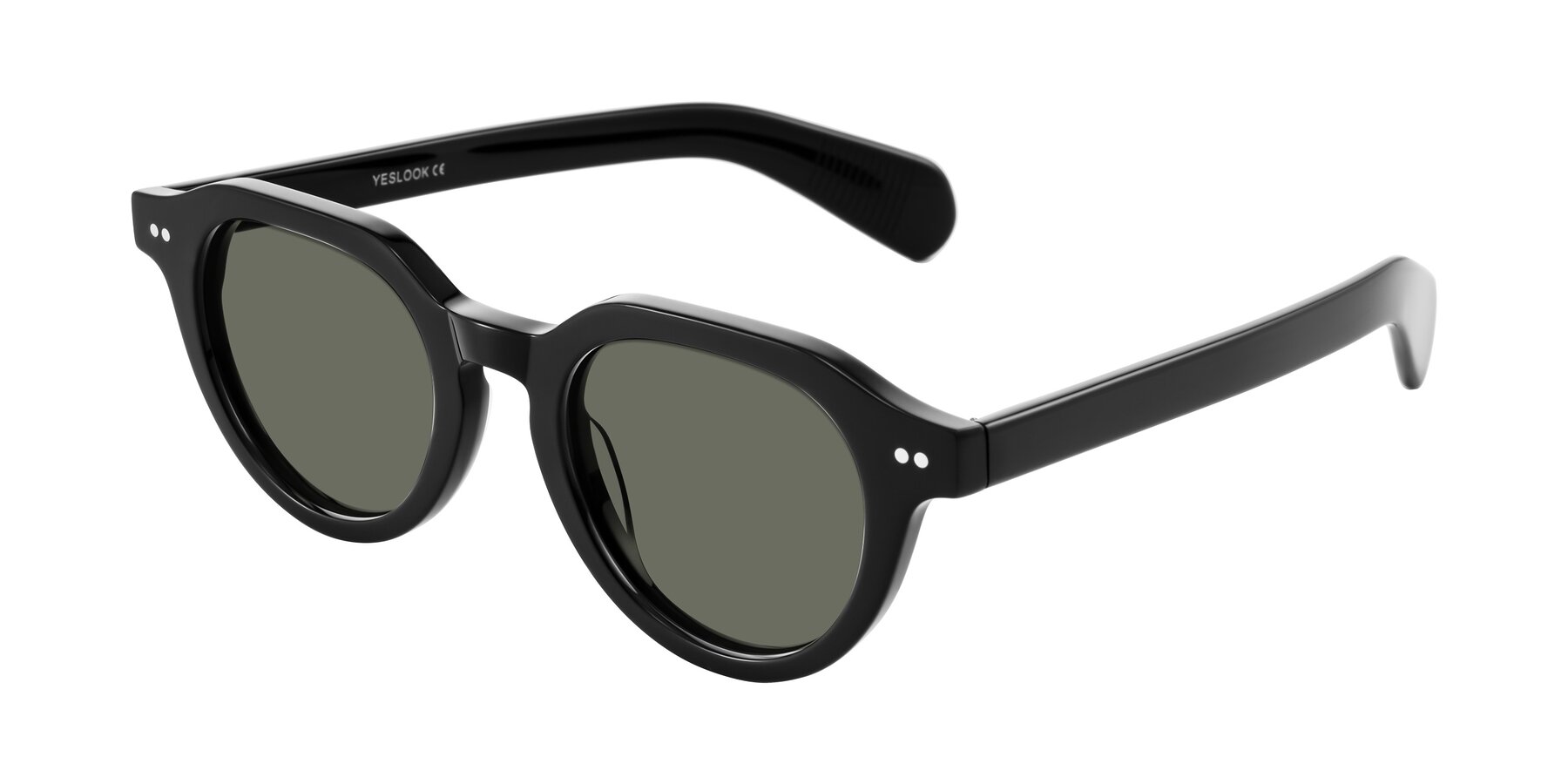 Angle of Rohamn in Black with Gray Polarized Lenses