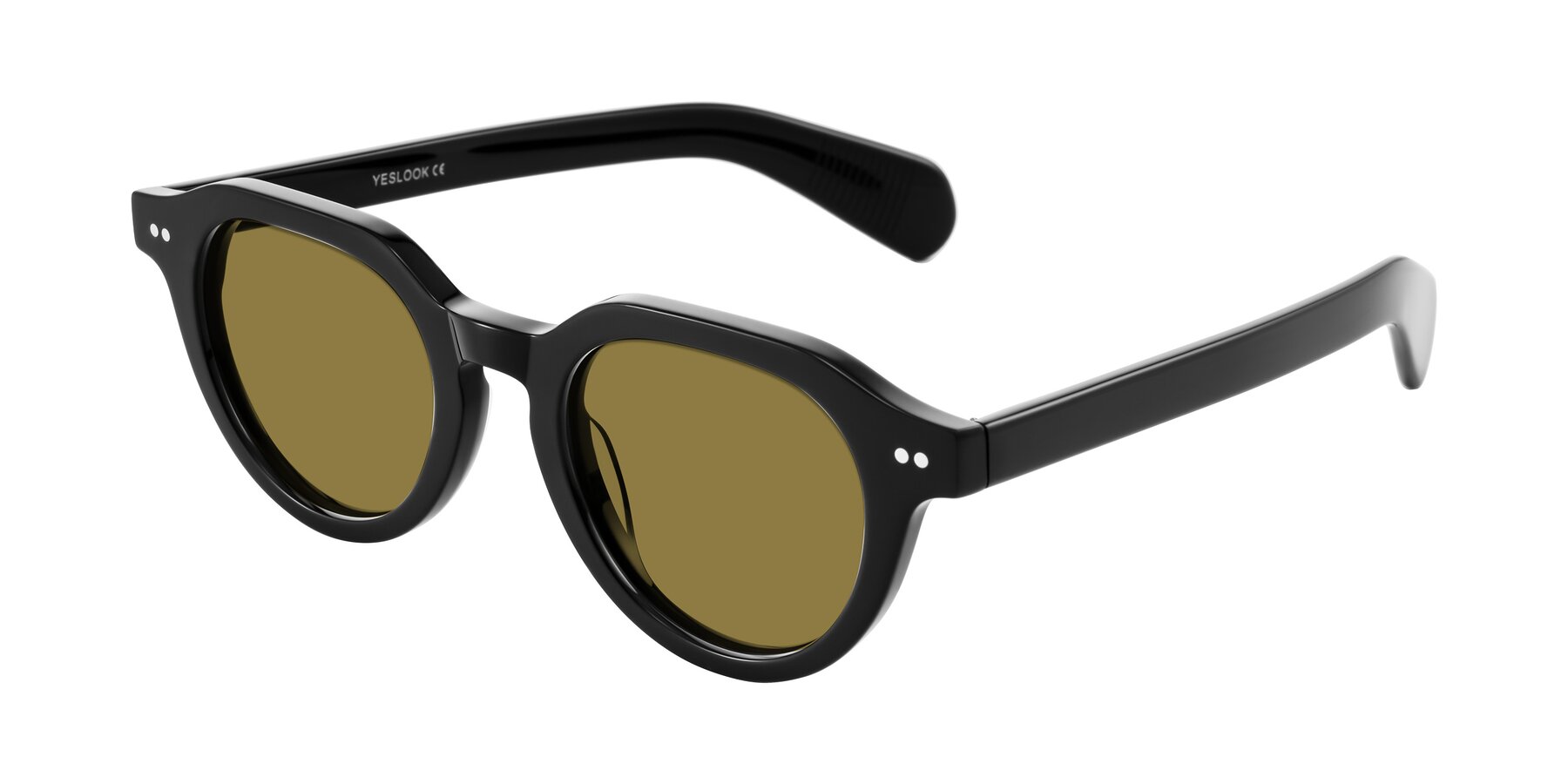 Angle of Rohamn in Black with Brown Polarized Lenses