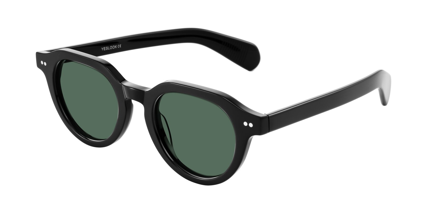 Angle of Rohamn in Black with Green Polarized Lenses