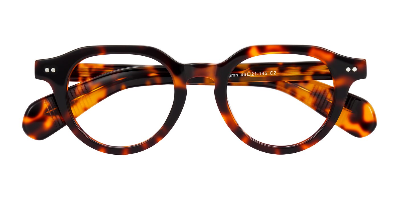 Rohamn - Tortoise Eyeglasses