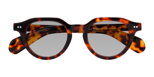 Front of Rohamn in Tortoise