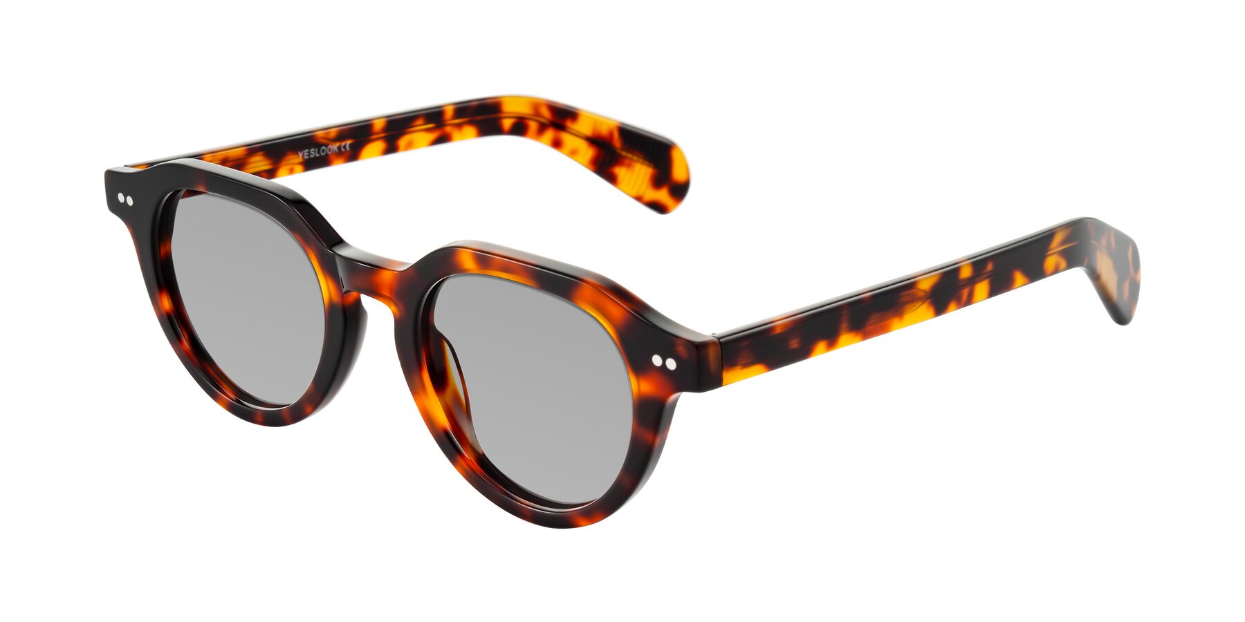 Angle of Rohamn in Tortoise with Light Gray Tinted Lenses