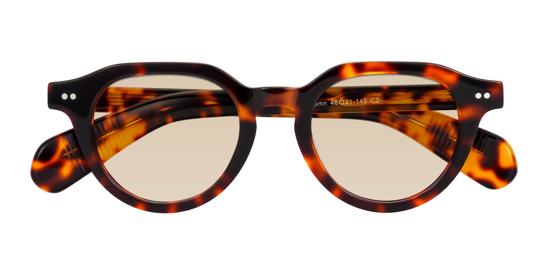Folded Front of Rohamn in Tortoise with Light Brown Tinted Lenses