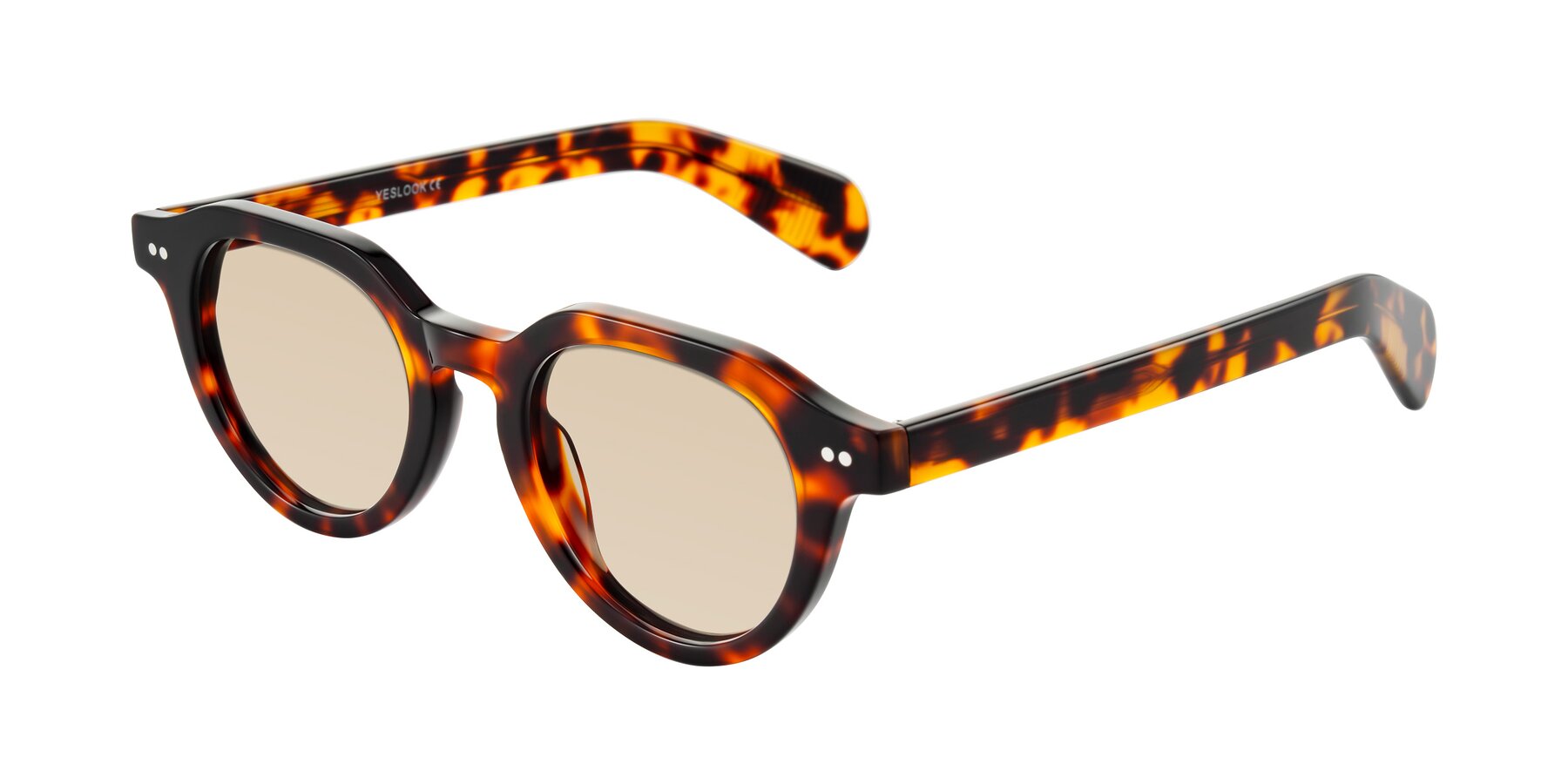 Angle of Rohamn in Tortoise with Light Brown Tinted Lenses