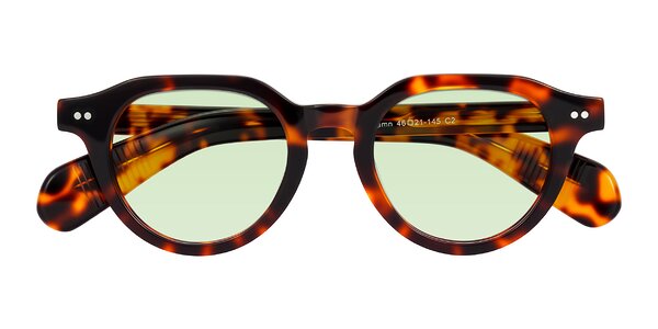 Front of Rohamn in Tortoise