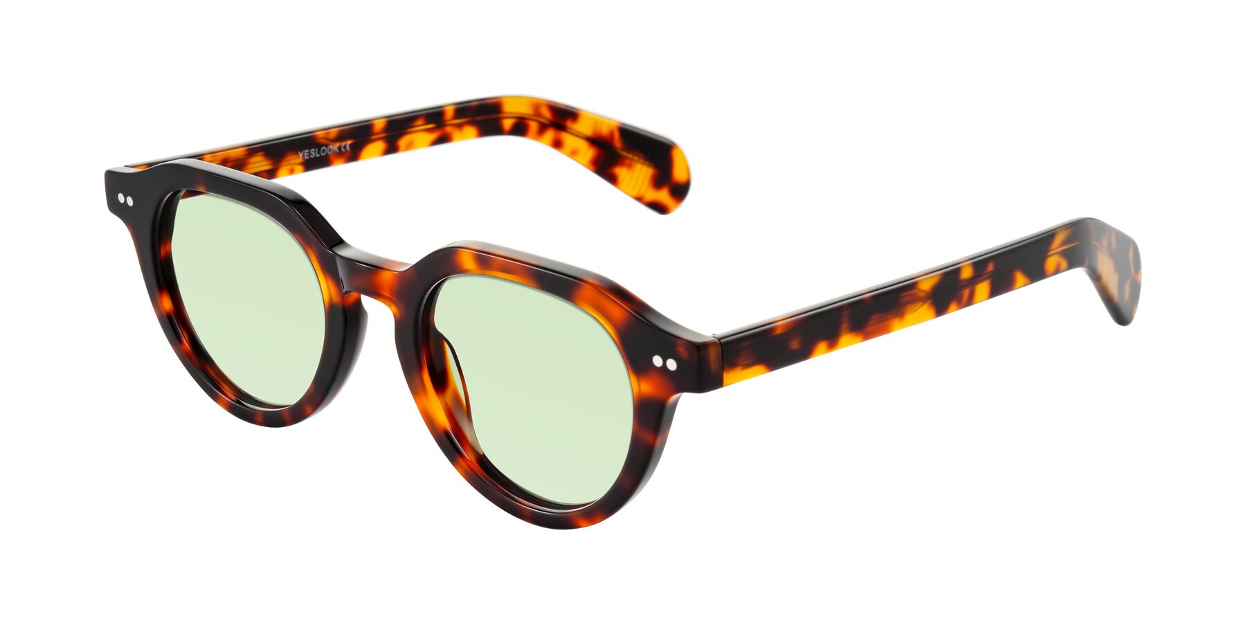 Angle of Rohamn in Tortoise with Light Green Tinted Lenses