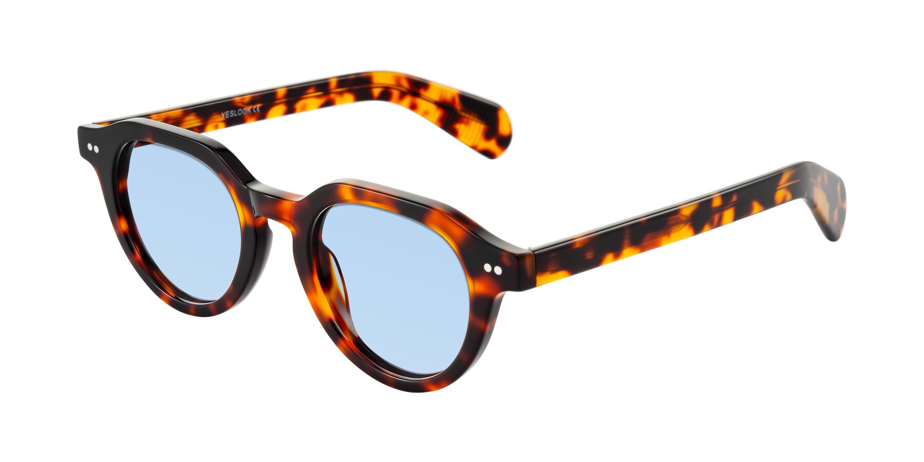 Angle of Rohamn in Tortoise with Light Blue Tinted Lenses