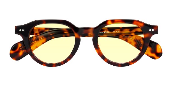 Front of Rohamn in Tortoise