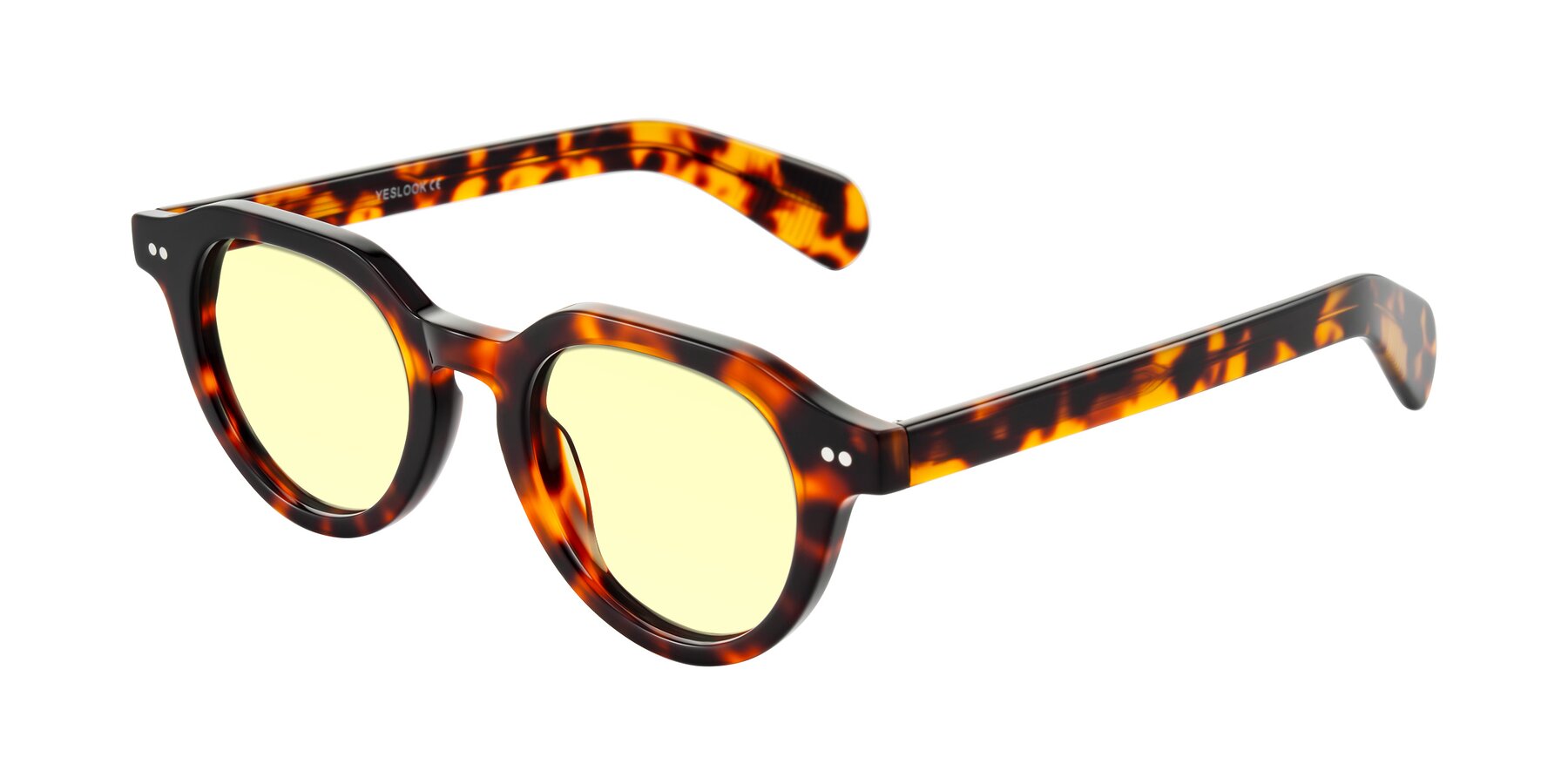 Angle of Rohamn in Tortoise with Light Yellow Tinted Lenses