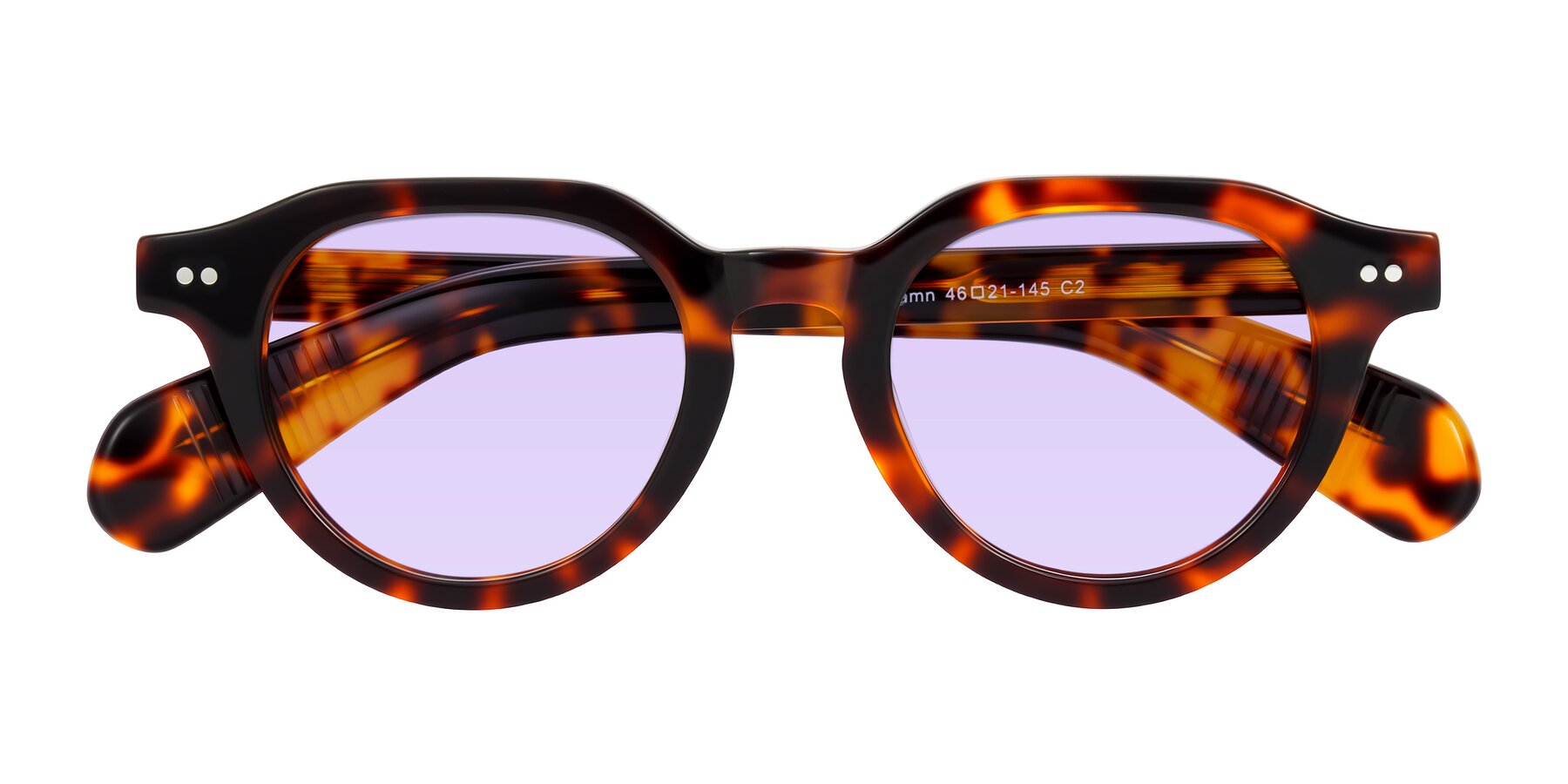 Folded Front of Rohamn in Tortoise with Light Purple Tinted Lenses