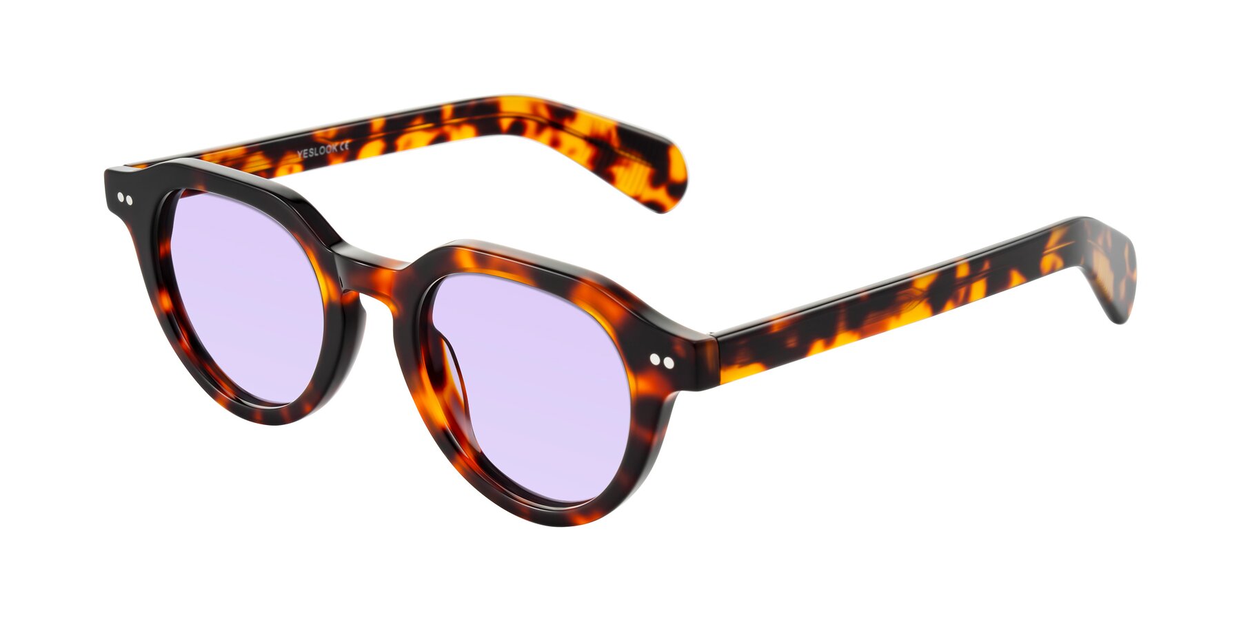Angle of Rohamn in Tortoise with Light Purple Tinted Lenses