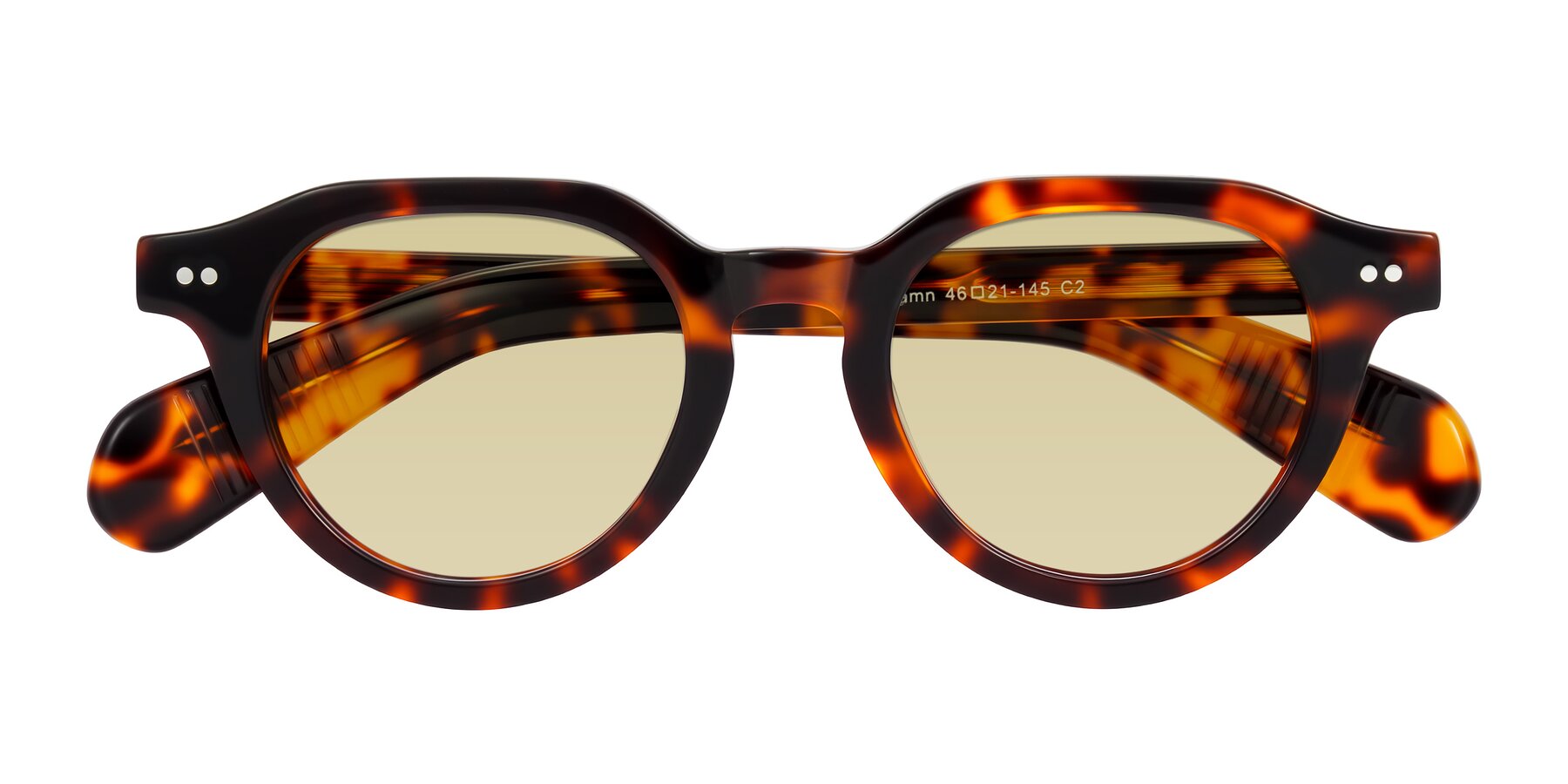 Folded Front of Rohamn in Tortoise with Light Champagne Tinted Lenses