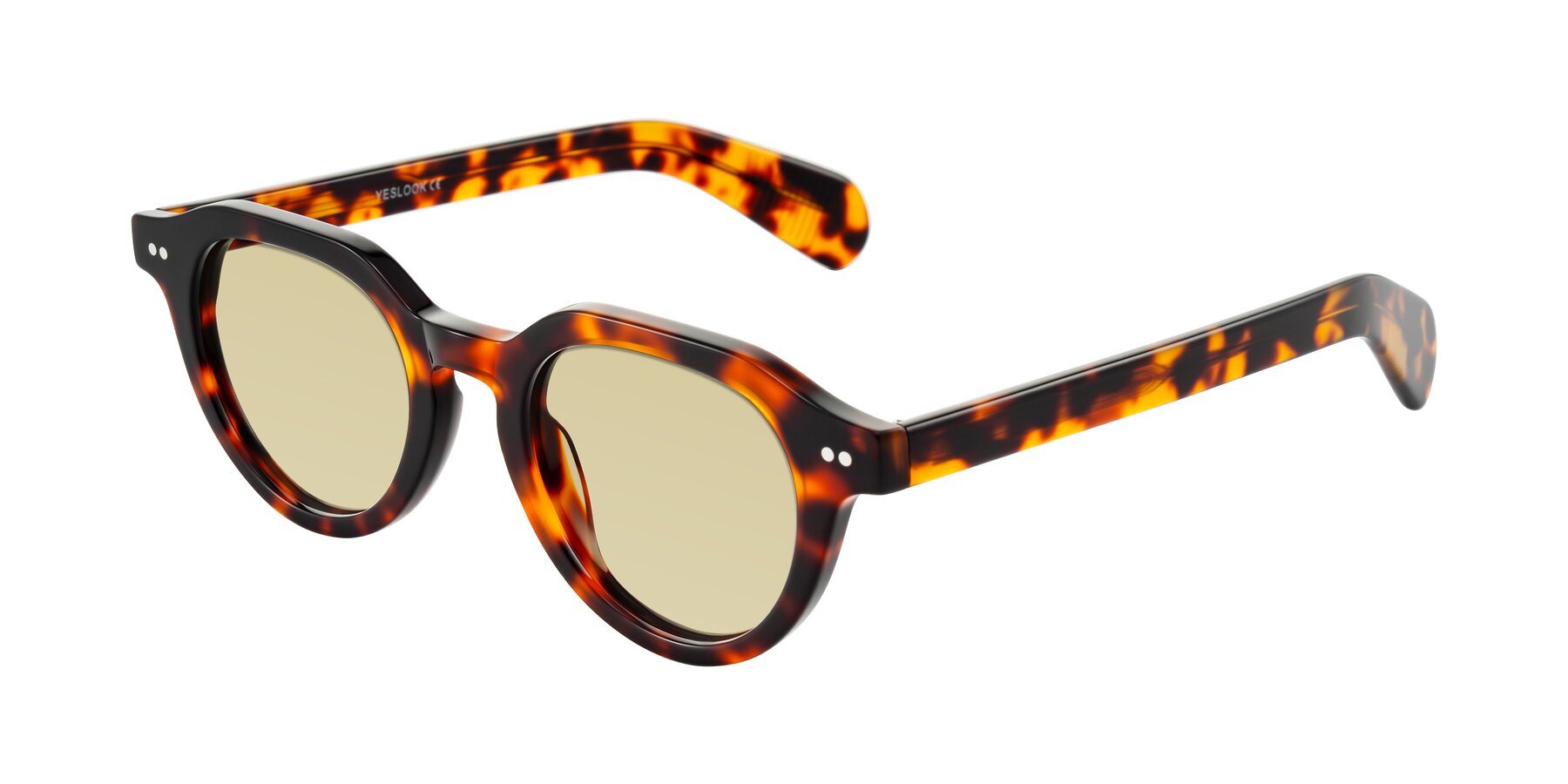 Angle of Rohamn in Tortoise with Light Champagne Tinted Lenses