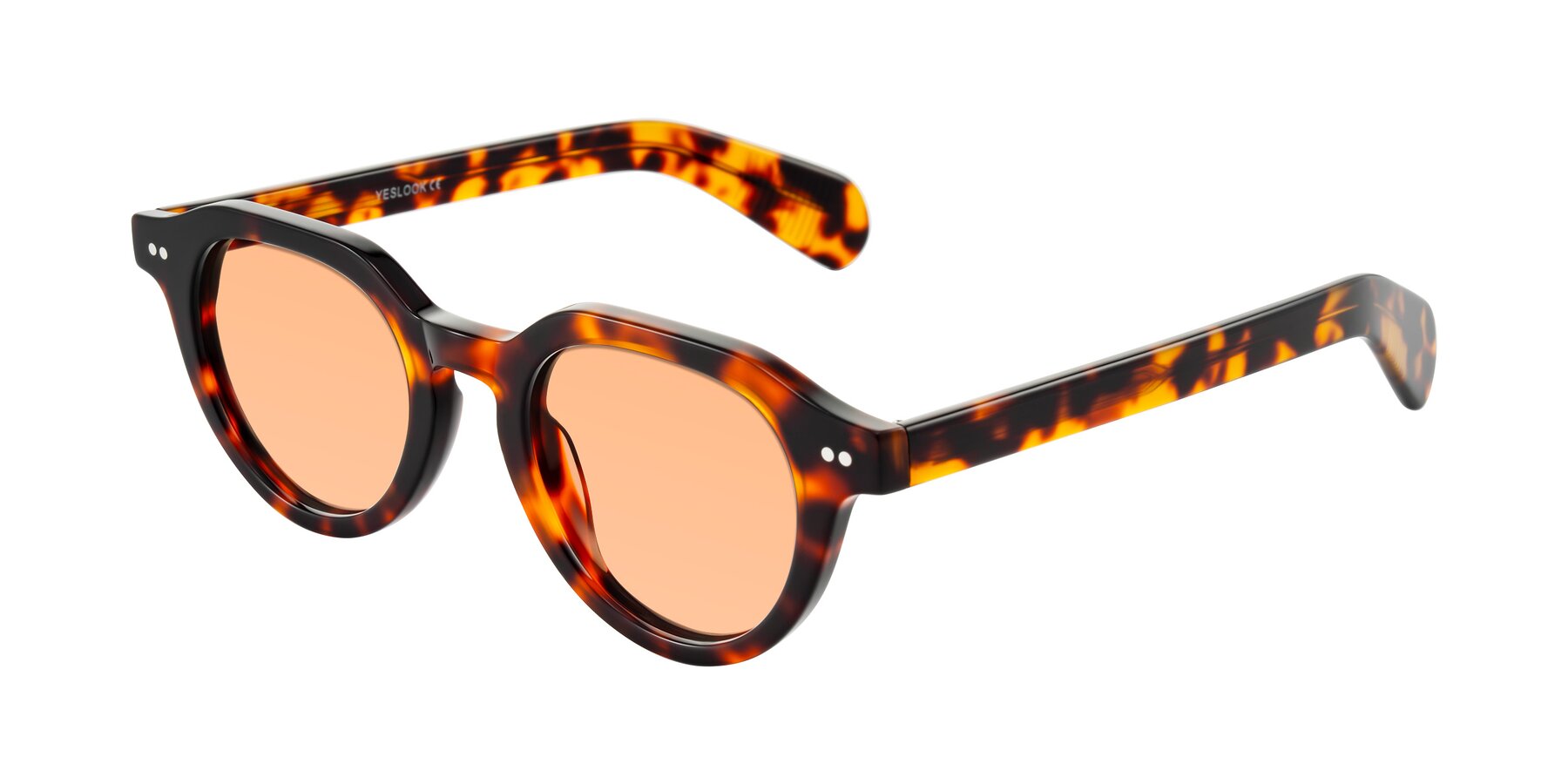 Angle of Rohamn in Tortoise with Light Orange Tinted Lenses
