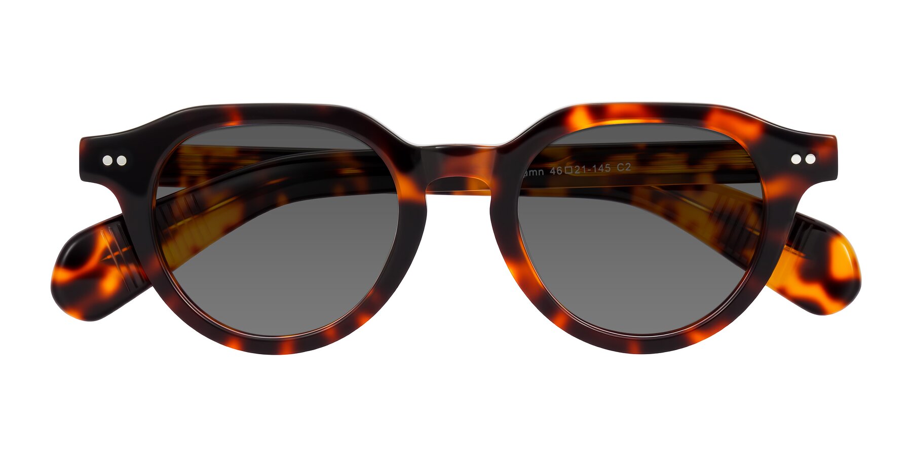Folded Front of Rohamn in Tortoise with Medium Gray Tinted Lenses