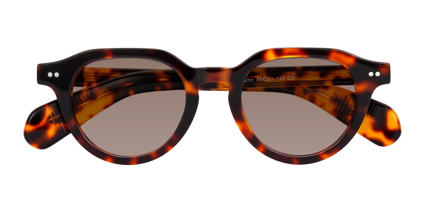 Rohamn - Tortoise Tinted Sunglasses