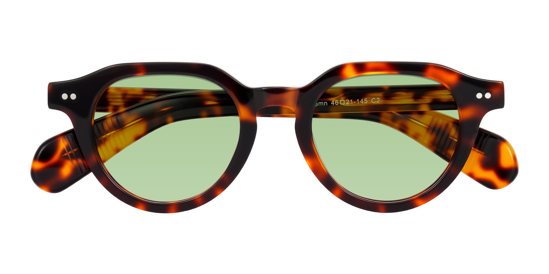 Folded Front of Rohamn in Tortoise with Medium Green Tinted Lenses