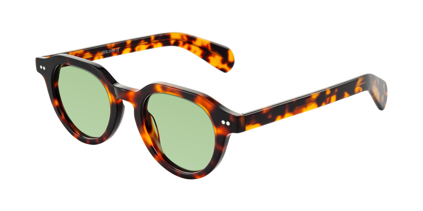 Angle of Rohamn in Tortoise with Medium Green Tinted Lenses