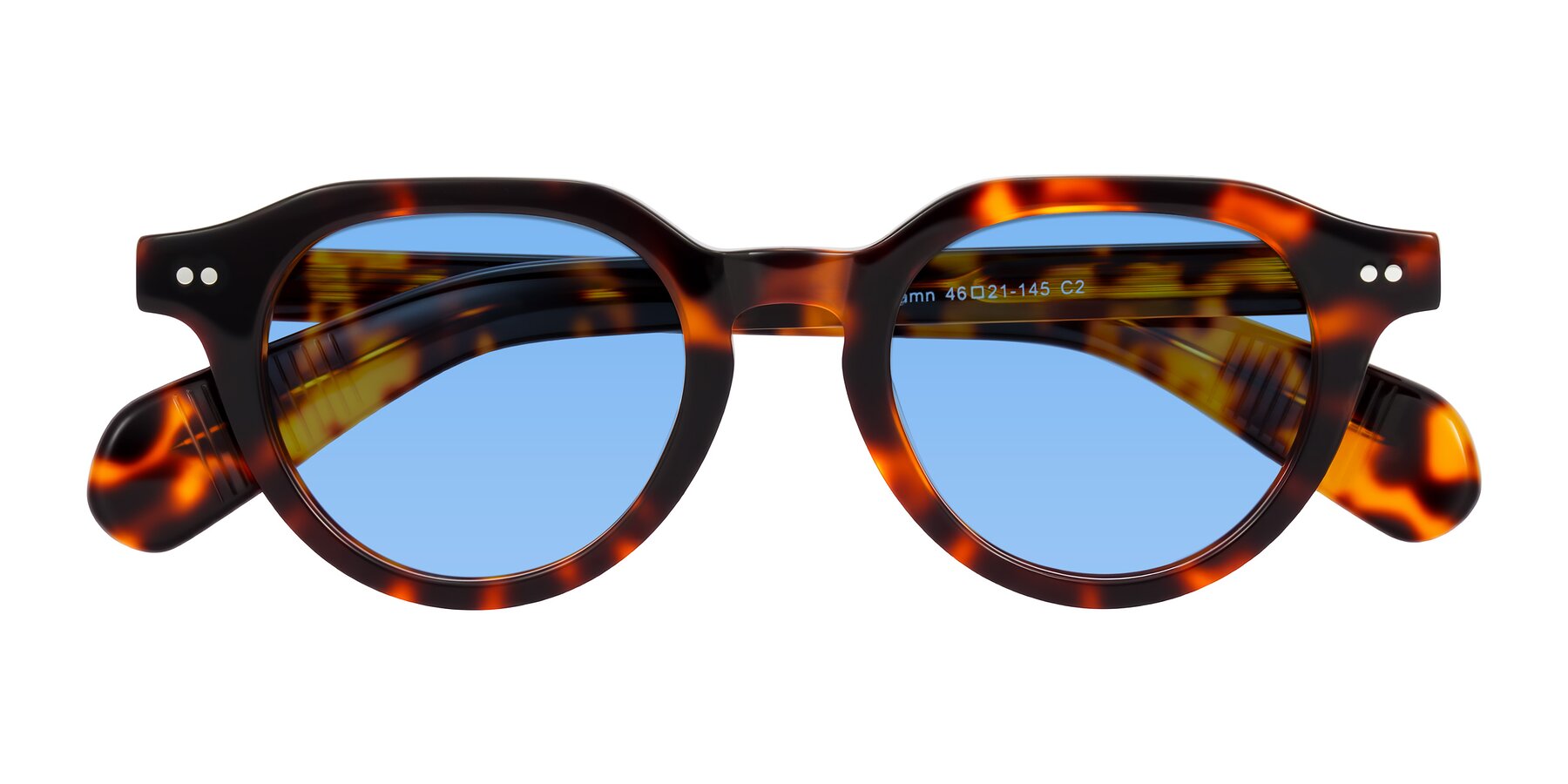 Folded Front of Rohamn in Tortoise with Medium Blue Tinted Lenses