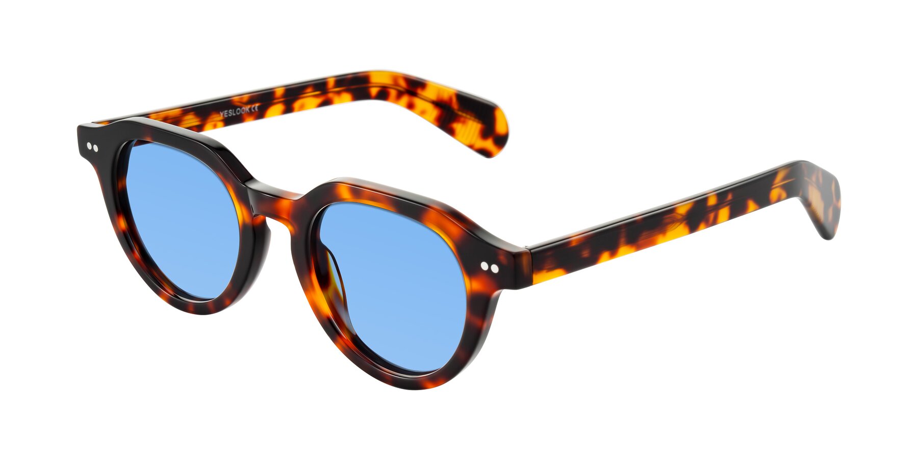 Angle of Rohamn in Tortoise with Medium Blue Tinted Lenses
