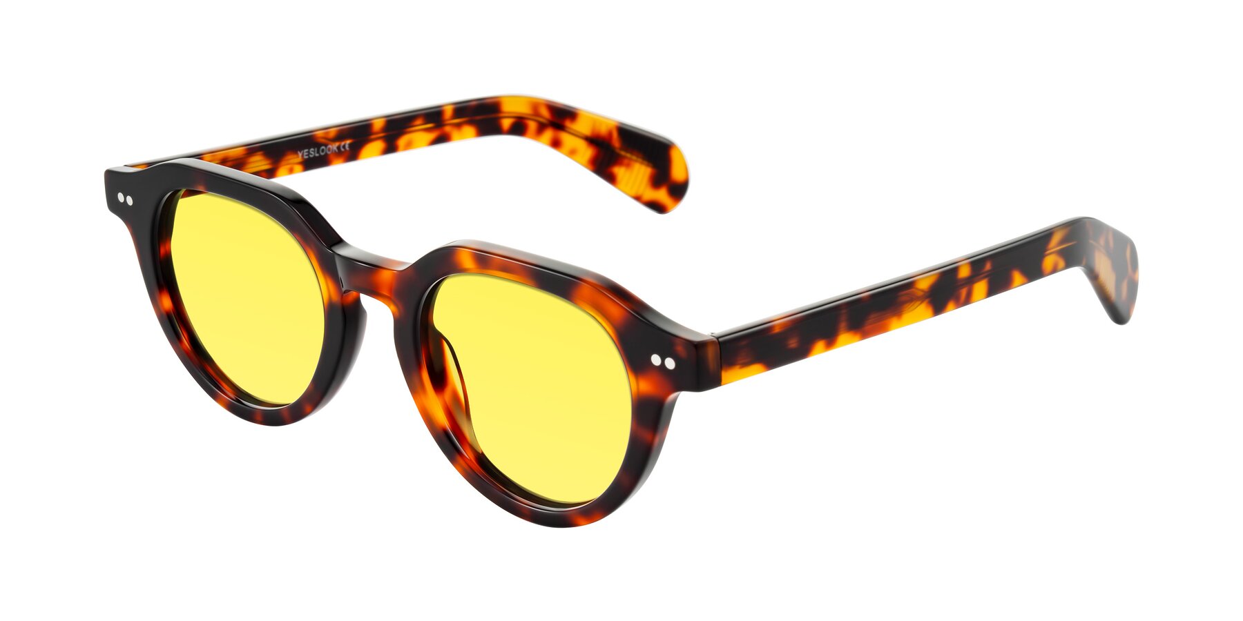 Angle of Rohamn in Tortoise with Medium Yellow Tinted Lenses