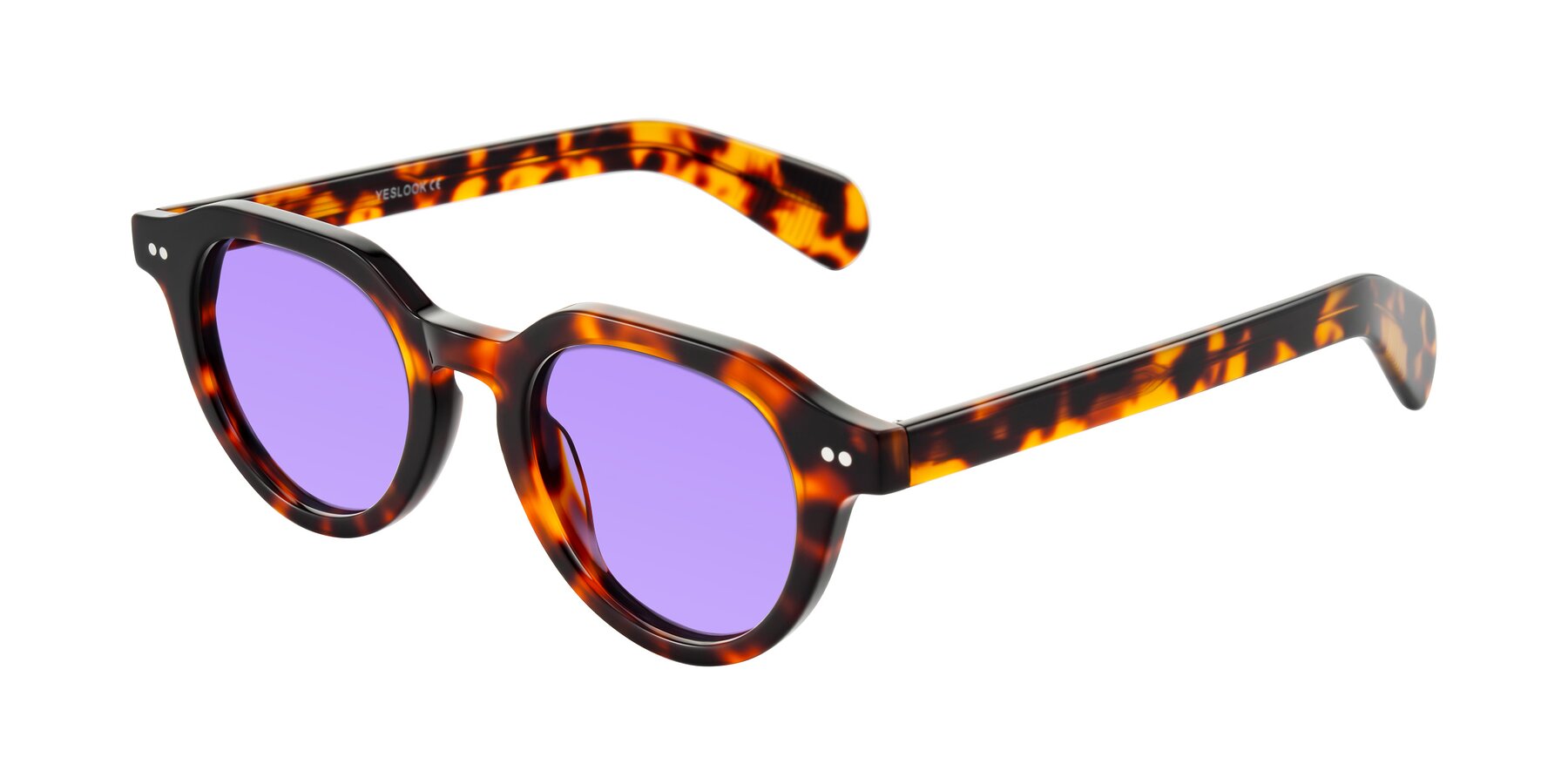 Angle of Rohamn in Tortoise with Medium Purple Tinted Lenses