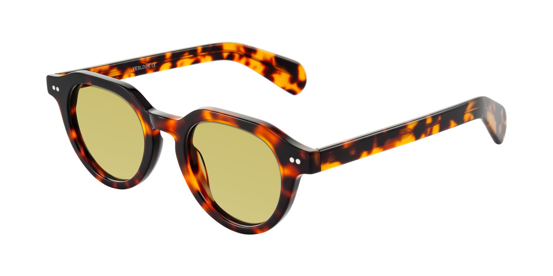 Angle of Rohamn in Tortoise with Medium Champagne Tinted Lenses